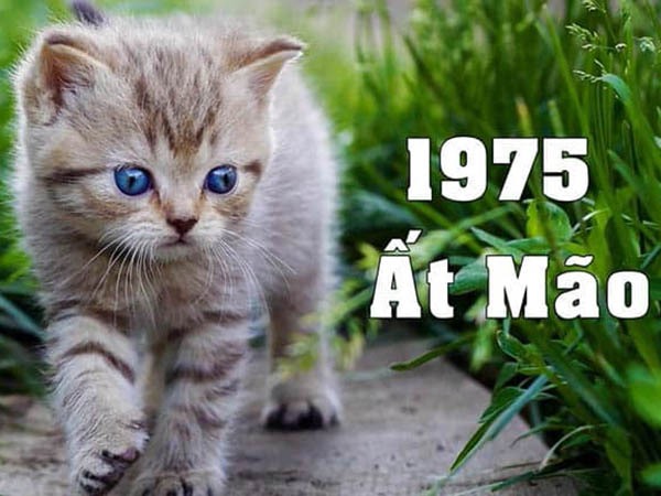 Thu hút phúc lành với số hên tuổi Ất Mão 9/4/2025