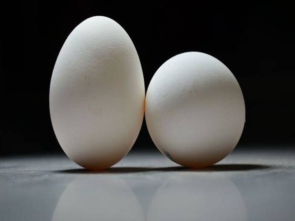 Nhặt được 2 quả trứng có ý nghĩa gì?