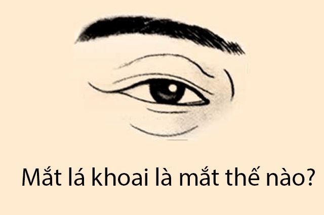 Đặc điểm tướng mắt lá khoai