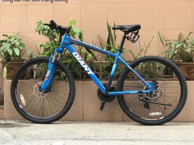 Mơ thấy xe đạp điềm báo gì có số gì đem lại vận hên