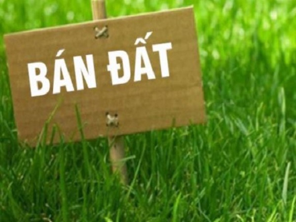 Giải mã chi tiết các giấc mơ thấy bán đất phổ biến