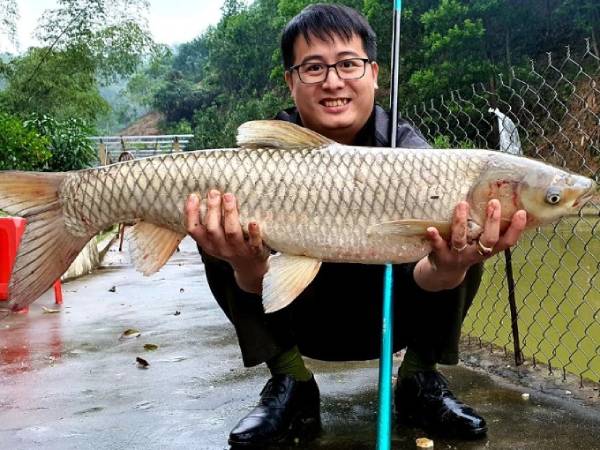 Nằm mơ thấy bát được cá trắm trắng ý nghĩa gì