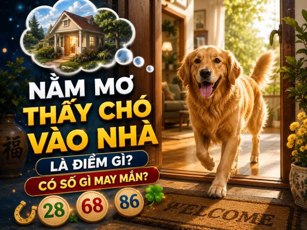 Nằm mơ thấy chó vào nhà là điềm gì có số gì may mắn