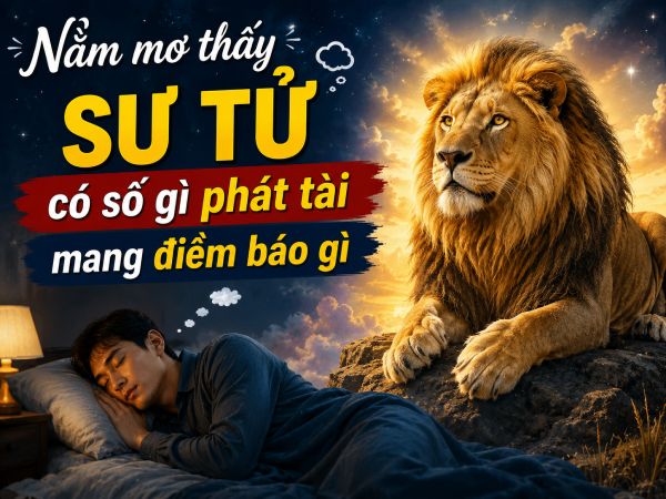 Nằm mơ thấy sư tử có số gì phát tài mang điềm báo gì